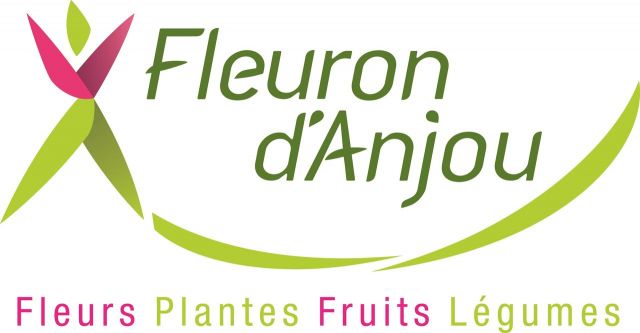 Fleuron d anjou