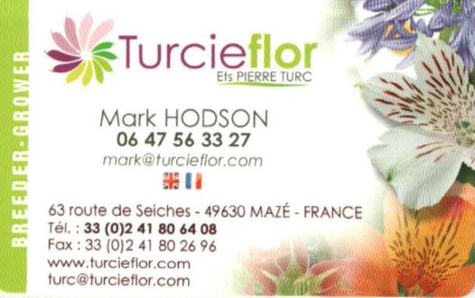 Turcieflor